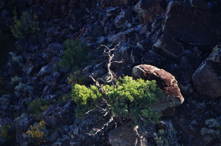 rio grande gorge